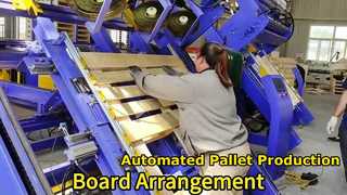 Vitrine européenne de la ligne de production automatique de palettes