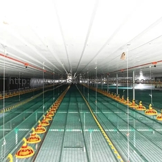 Ensemble complet de ferme avicole d'équipement de poulet de Chambre de buveurs automatiques imperméables de conducteurs