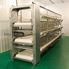 La couche automatique en acier de poulet d'équipement de ferme avicole Q235 met en cage pour les pondeuses
