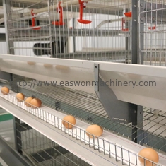 La couche automatique en acier de poulet d'équipement de ferme avicole Q235 met en cage pour les pondeuses