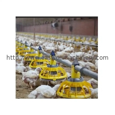 Poulet de alimentation automatique de production animale de contrôle ambiance/équipement de ferme avicole