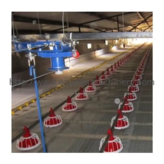 Poulet de alimentation automatique de production animale de contrôle ambiance/équipement de ferme avicole