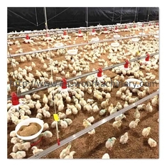 Contrôleur automatique complet de la cage T607 de poulet à rôtir d'équipement de ferme avicole