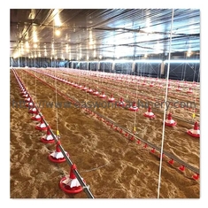Contrôleur automatique complet de la cage T607 de poulet à rôtir d'équipement de ferme avicole
