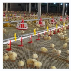 Équipement de ferme avicole automatique de cage de poulet avec le système de ventilation