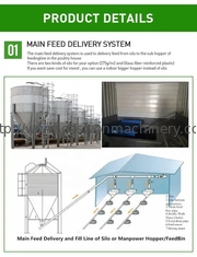 Équipement de ferme avicole automatique de cage de poulet avec le système de ventilation