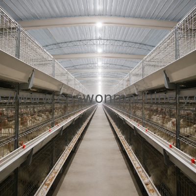Galvanized H Type Broiler Chicken Cage Durable Battery Cage System for Poultry Farm