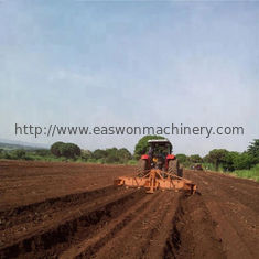 Rangées Ridger dessiné par tracteur de la machine 4 de planteur du manioc 8Ha/Day montées par tracteur